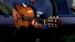 Pedro Maldonado F1 Flamenco Guitar [upl. by Enaenaj621]