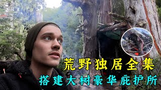 一口氣看完荒野獨居第三季全集，搭建大樹豪華庇護所，制造壁爐取暖，每天吃烤魚！紀錄片  Build a shelter to survive in the wild [upl. by Grange]