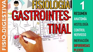 FISIOLOGIA GASTROINTESTINAL  RESUMEN Estructura Control Nervioso SN ENTERICO Sistema Digestivo1 [upl. by Ruosnam807]