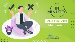 Phlorizin  mechanism of Action [upl. by Koffler]