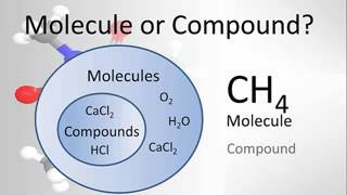 Molecule vs Compound Examples and Practice [upl. by Airotal]