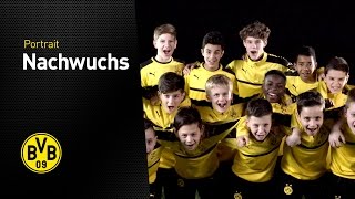 Das Nachwuchsleistungszentrum von Borussia Dortmund [upl. by Lewak]