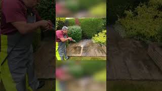 Mixed Patio Power Washing [upl. by Yrekcaz]