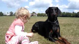 Doberman protects baby toddler at the park MUST SEE [upl. by Lashoh]