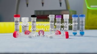 How to Invitrogen ReadyLabel Antibody Labeling Kits Protocol [upl. by Sladen]