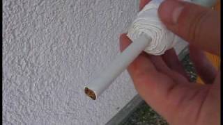 How harmful are cigarettes  short [upl. by Valeta]