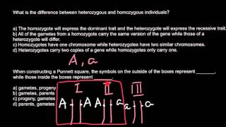 What is the difference between heterozygous and homozygous individuals [upl. by Ecyrb655]