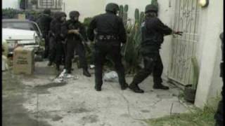 Reality Show LAPD quot3 Food Groupsquot [upl. by Juditha402]