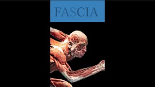 Fascia The Bodys Fascinating Functional Glue and how it relates to YOGA Nadis [upl. by Everett]