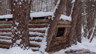 HOW TO BUILD A WINTER SURVIVAL SHELTER  CAMPING BUSHCRAFT [upl. by Ecnarf]