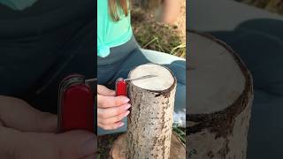 Incredible Knife Lifehack 🔪🏕️survivalskill lifehack knifehack extreme bushcraft [upl. by Weathers]