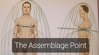 The Assemblage Point Finding Your Center [upl. by Aivital779]