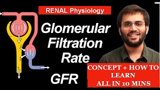 Glomerular Filtration Rate GFR  Renal Physiology  MBBS 1st Year Lectures [upl. by Allen]