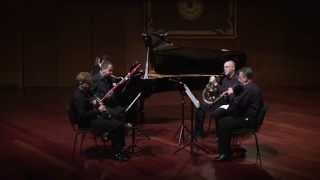 Quinteto en MibM  KV 452 para piano  oboe  clarinete  trompa y fagot  W A Mozart [upl. by Stamata53]