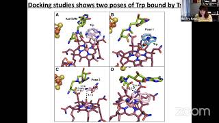 Hayley Knox – Structural basis for nonradical catalysis by TsrM a radical SAM methylase [upl. by Aneekal]