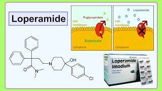 loperamide [upl. by Lapo637]