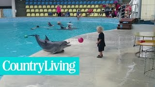 Adorable Toddler Plays Fetch With Playful Dolphin  Country Living [upl. by Rolanda851]