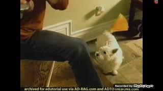 Glade Plug  Ins Scented Oil Fan 2005 Commercial Dog [upl. by Dj]