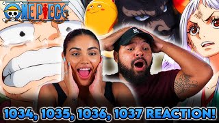 MOMONOSUKE HEARS LUFFY  One Piece Episode 1034 1035 1036 1037 REACTION [upl. by Eceryt]