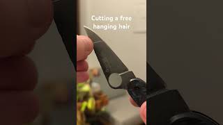 Cutting a free hanging hair edc knifesharpener knifesharpening blade razor [upl. by Leffen]