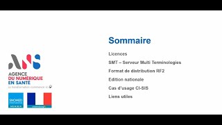 SNOMED CT 67 juin Data Scientists 67 SNOMED CT en France [upl. by Spector305]