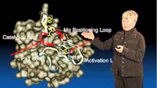 Susan Taylor UCSD Part 2 Architecture of a Protein Kinase [upl. by Abihsot]