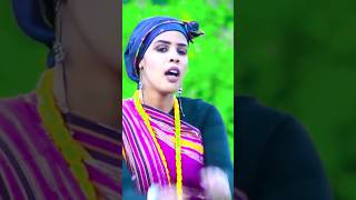 Xasan Yare Iyo Filsan GusHa SITI canfar dhaantocusub somalimusic duet dhaanto army dhaanto [upl. by Caves]