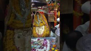 तेरे दरबार में मैया खुशी मिलती है navratrispecial maa devibhajan devi maadurga navratri [upl. by Bigelow]