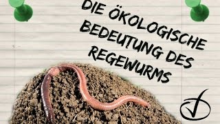 Die ökologische Bedeutung des Regenwurms [upl. by Lange243]