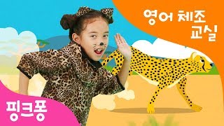 Cheetah Running  치타치타 뱅뱅 체조  영어 체조 교실  핑크퐁 체조  핑크퐁 인기동요 [upl. by Jarrett]