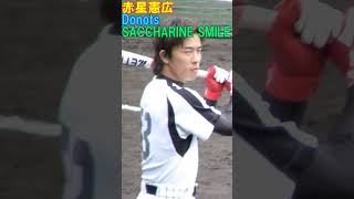 赤星憲広 登場曲② Donots SACCHARINE SMILE shorts [upl. by Euqinomahs]