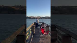 Boat Launch amp Pier fishing shorts shortfeed shortvideo [upl. by Elime]