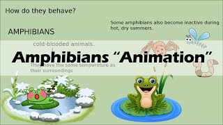 AMPHIBIANS Biology Animation [upl. by Asek614]