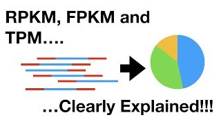 RPKM FPKM and TPM Clearly Explained [upl. by Aseram330]