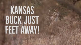 Late season BUCK on the GROUND in Kansas [upl. by Meekah]