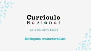 ¿A qué llama el Currículo Nacional enfoques transversales y para qué sirven [upl. by Enelyw]