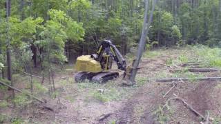 Tigercat 845D Feller Buncher in North Carolina [upl. by Eittod]