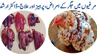 Poultry Liver Disorders Symptoms Prevention amp Treatment by Dr ARSHAD [upl. by Mendelsohn]