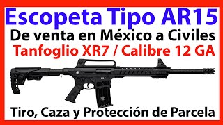 SEDENA México  Escopeta Tanfoglio XR7 12 GA  Tipo AR15  DE VENTA A CIVILES EN MÉXICO [upl. by Yardley823]