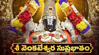 శ్రీ వెంకటేశ్వర సుప్రభాతం  Sri Venkatesa Suprabhatam Saturday venkateswarasuprabhatam [upl. by Eicyal]