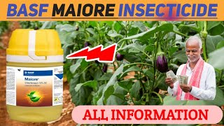 BASF MAIORE INSECTICIDE  maiore insecticide  BASF  INSECTICIDE [upl. by Goldy]