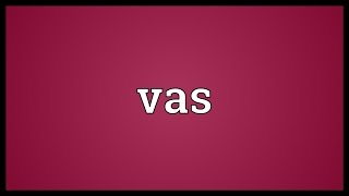 Vas Meaning [upl. by Annenn]