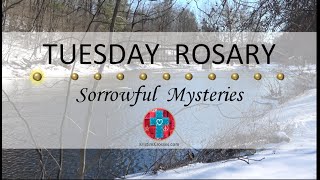 Tuesday Rosary • Sorrowful Mysteries of the Rosary 💜 March 12 2024 VIRTUAL ROSARY  MEDITATION [upl. by Soren]