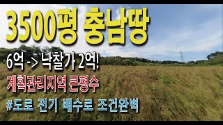 3500평 충남땅 낙찰가2억 계획관리 큰평수 도로전기배수로 조건완벽 투자수익가능 귀농귀촌 나만의텃밭 과일채소 주말농장힐링 농막휴식 전원주택 편안한전원생활 경매땅공매땅 [upl. by Ecargyram]