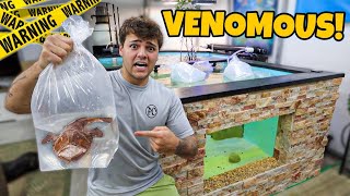 Buying VENOMOUS FISH for My SALTWATER POND [upl. by Berti]