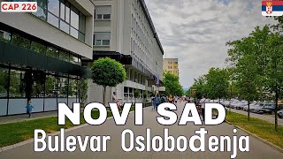 Novi Sad Serbia Conoce el bulevar Oslobođenja [upl. by Flem601]