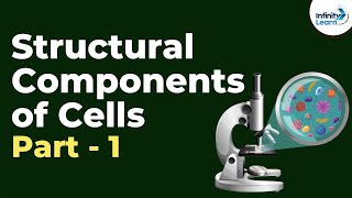 Structural Components of Cells  Part 1  Dont Memorise [upl. by Aihsemak452]