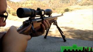 Shooting the Remington 700 BDL 3006 [upl. by Nahtanaj]