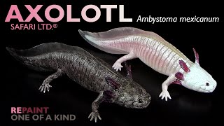 Safari Ltd ® Axolotl Ambystoma mexicanum 2024 Repaint amp Review [upl. by Aitercal]