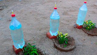 🔴 Cómo Hacer un Cronómetro de Agua Con Dos Botellas  Experimentos Caseros  LlegaExperimentos [upl. by Kaliope]